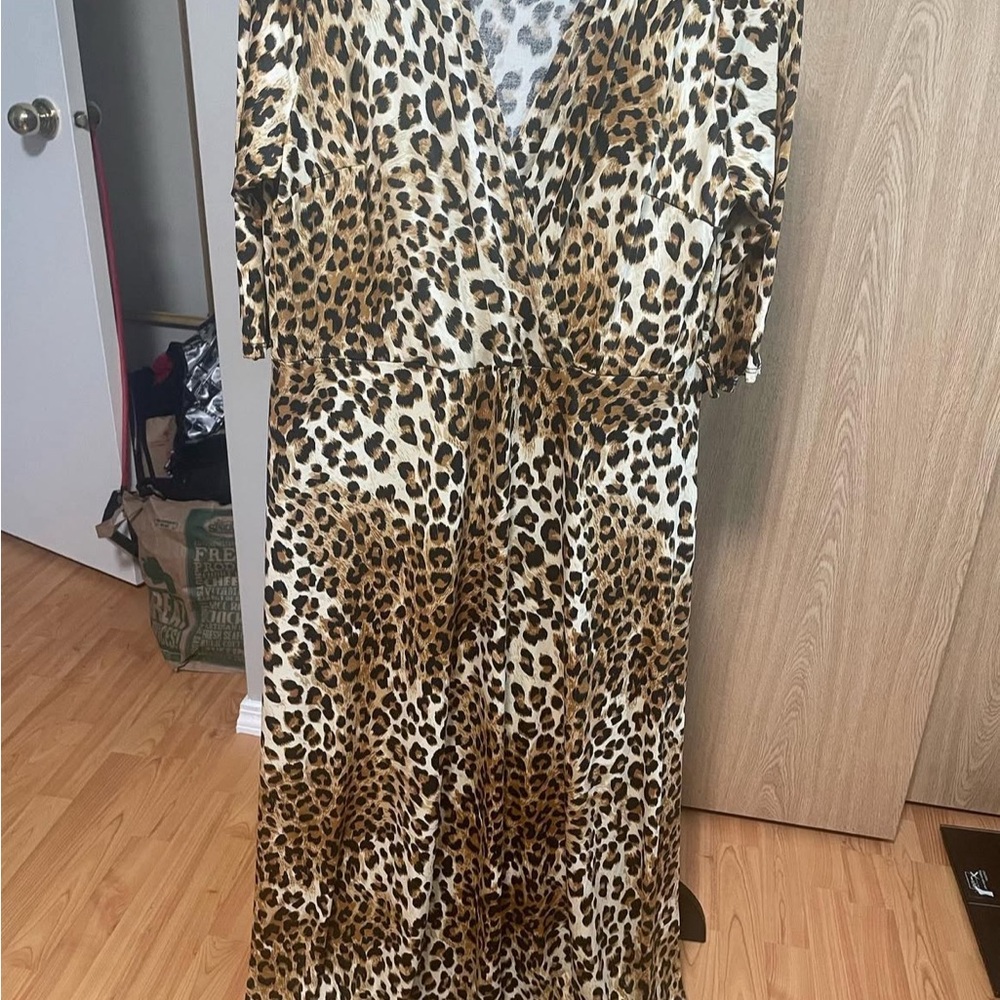 Fashion Nova Animal Print Maxi Dress